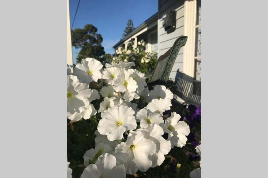That Seaside Cottage - Fully Equipped Home, 4 Bedrooms On The Foreshore Tooradin Exterior photo
